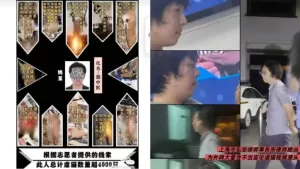 虐貓8年！上海律師涉殘殺4千隻貓