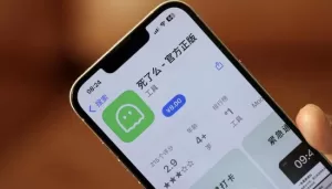 爆紅獨居安全App「死了麽」突遭中國區下架 開發者稱原因未明