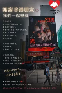 揭陽虐犬案登上旺角大廈廣告 港人街頭為「旺旺」發聲