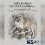 愛協報警促下架揭陽虐犬案影片 澄清：是阻止模仿