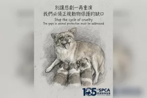 愛協報警促下架揭陽虐犬案影片 澄清:是阻止模仿 愛協報警促下架揭陽虐犬案影片 澄清:是阻止模仿