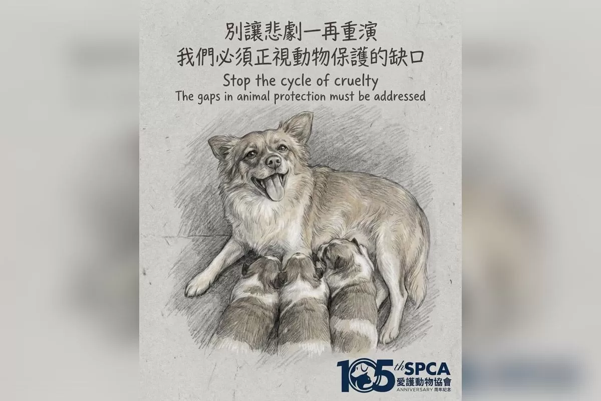 愛協報警促下架揭陽虐犬案影片 澄清：是阻止模仿