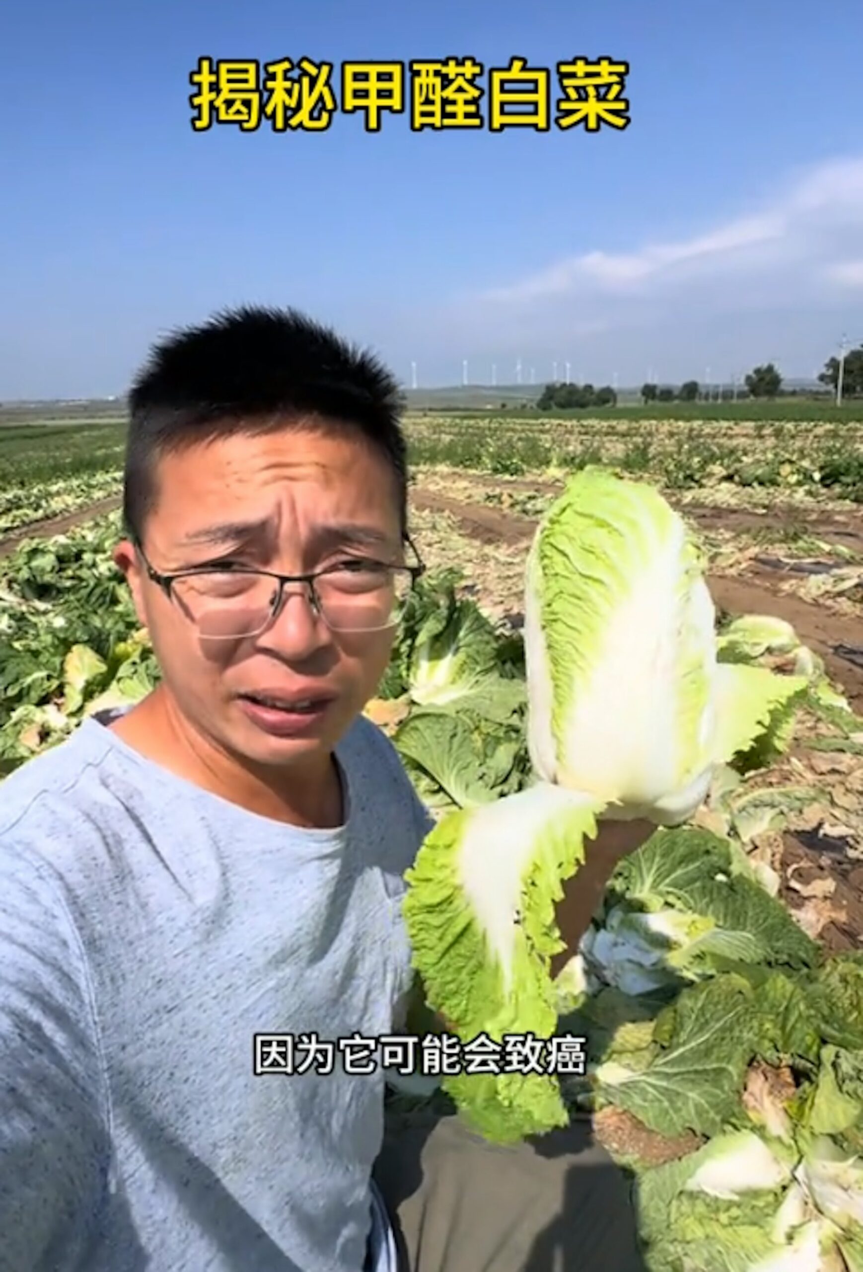 「甲醛白菜」片瘋傳　河北1.1萬畝白菜滯銷　60多名菜商突然離場