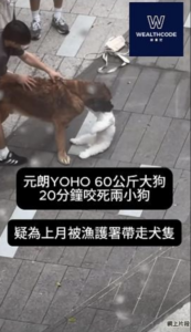 元朗YOHO 60公斤大狗20分鐘咬死兩小狗 疑為上月被漁護署帶走犬隻 元朗YOHO 60公斤大狗20分鐘咬死兩小狗 疑為上月被漁護署帶走犬隻
