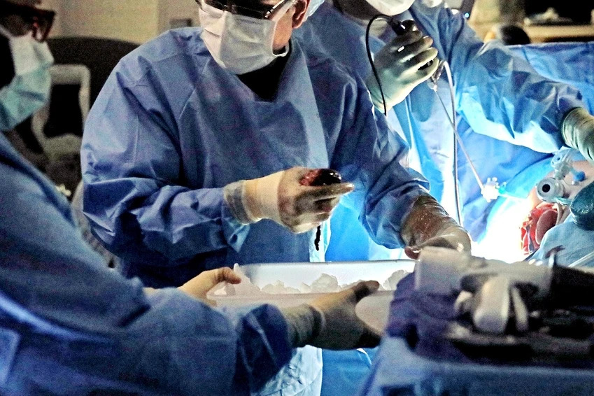 日本腎移植平均等14年9個月　患者被迫尋求海外「買腎」