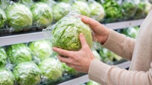 近1.3萬人食生菜中招 美國最大寄生蟲疫情完結 污染源頭仍未解 近1.3萬人食生菜中招 美國最大寄生蟲疫情完結 污染源頭仍未解