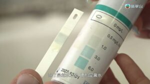 東張西望揭旺角大廈食水變鹹疑混入糞水　住戶煮菜食出鹹味